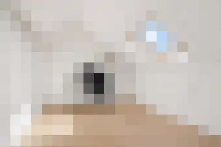 Hofstukken 320 Uden thumbnail 36