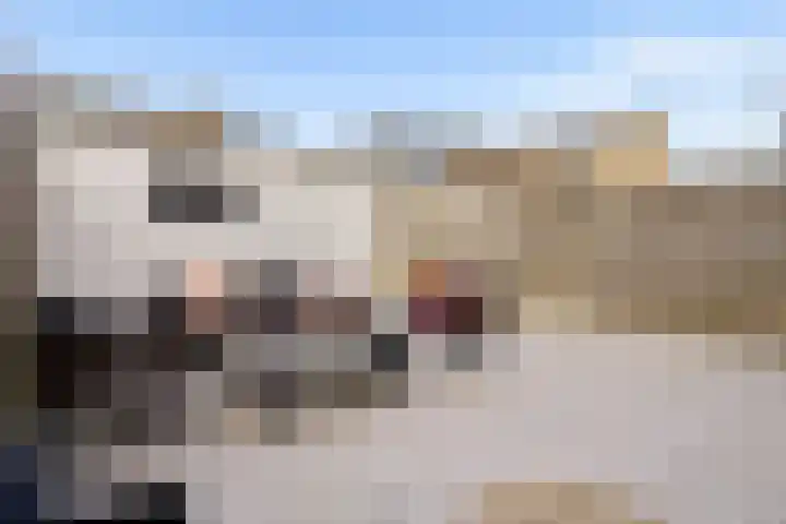 Hofstukken 320 Uden thumbnail 43