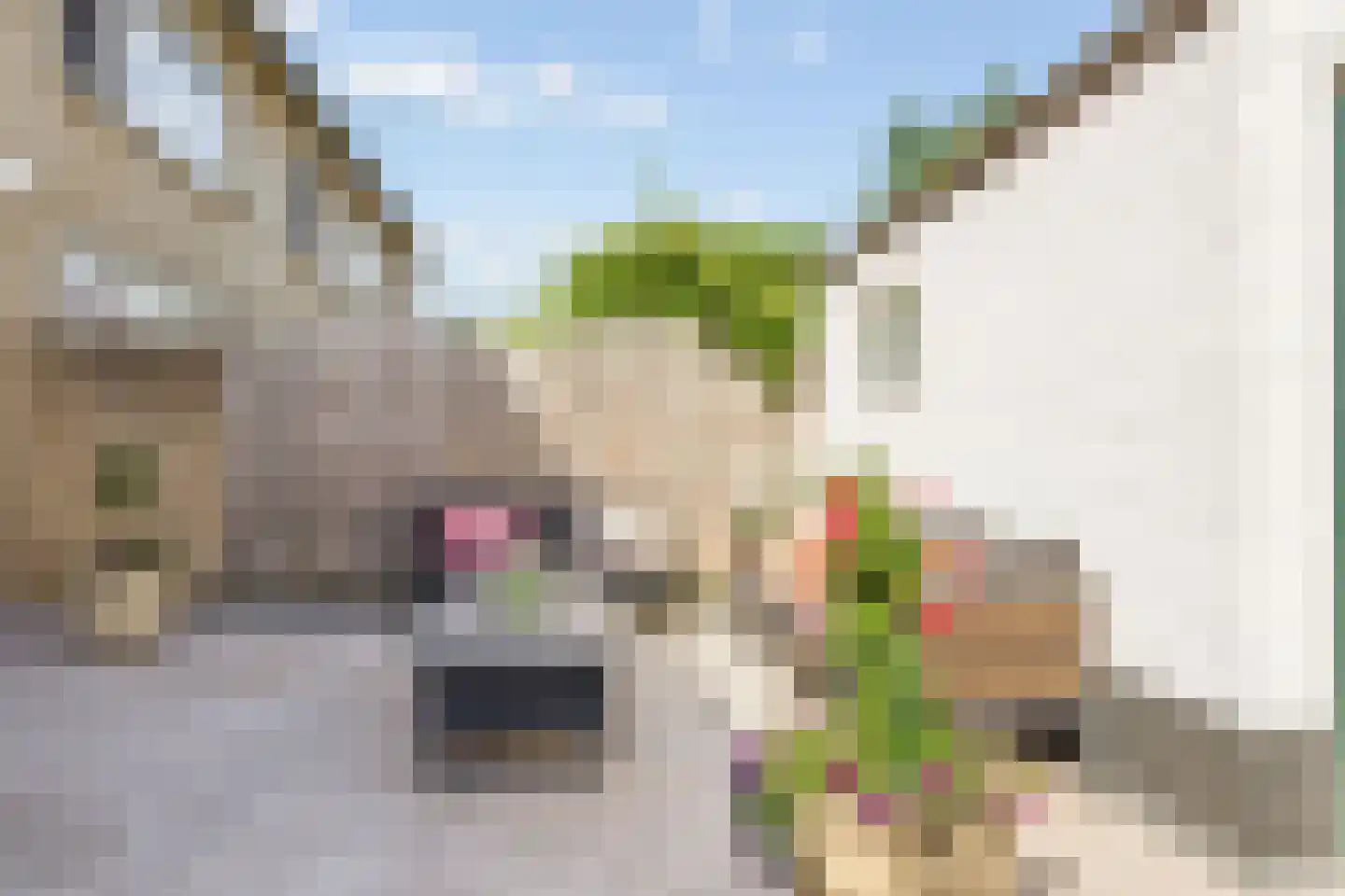 Hofstukken 320 Uden thumbnail 44