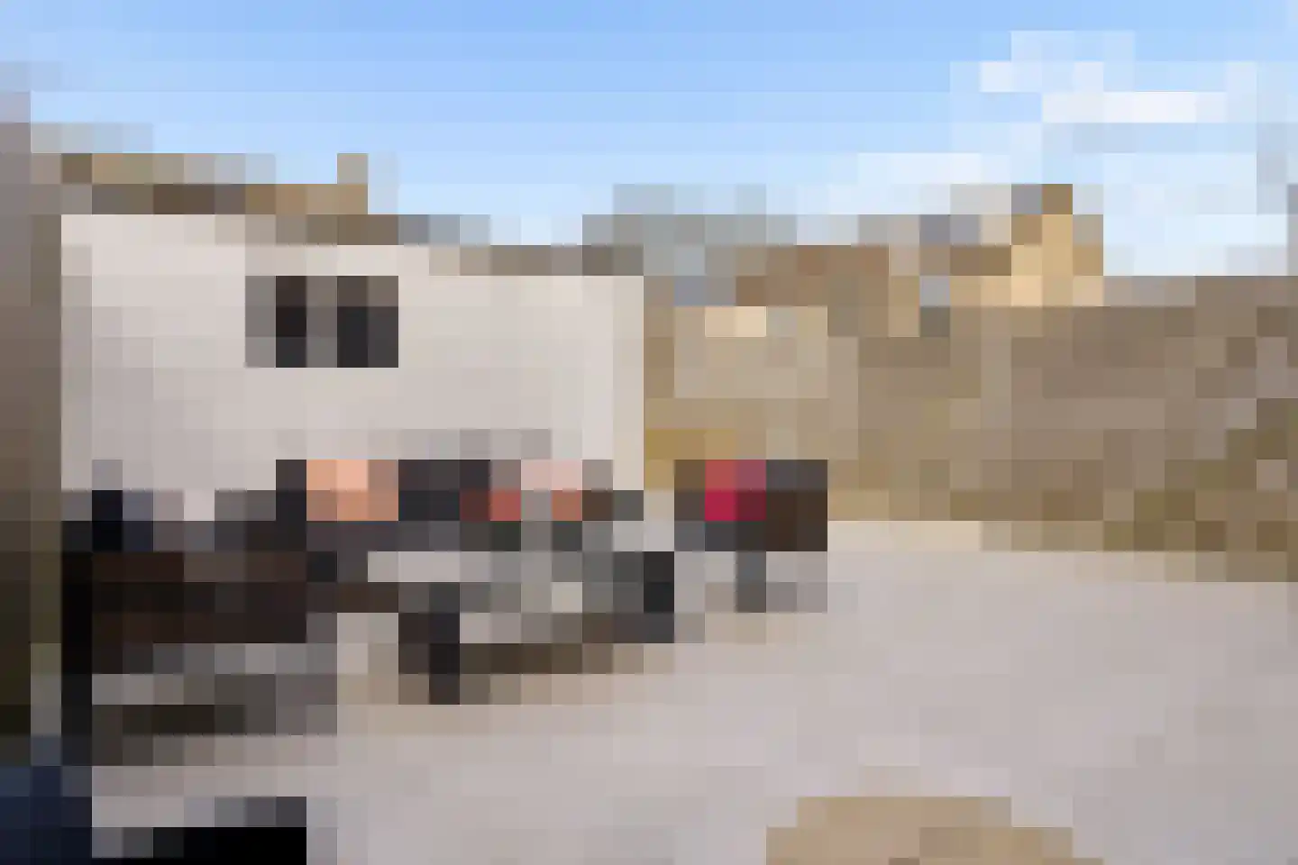 Hofstukken 320 Uden thumbnail 44