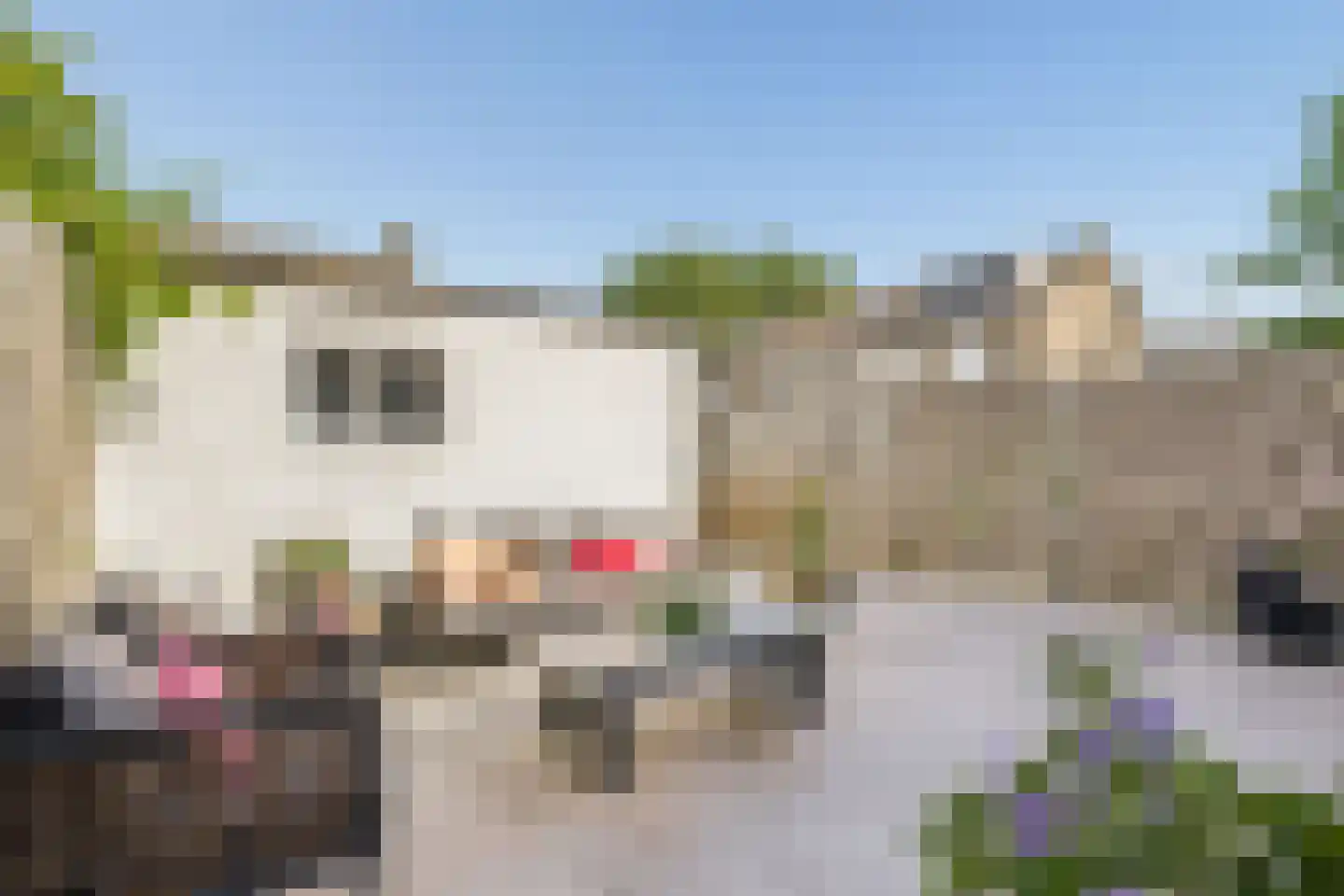 Hofstukken 320 Uden thumbnail 45
