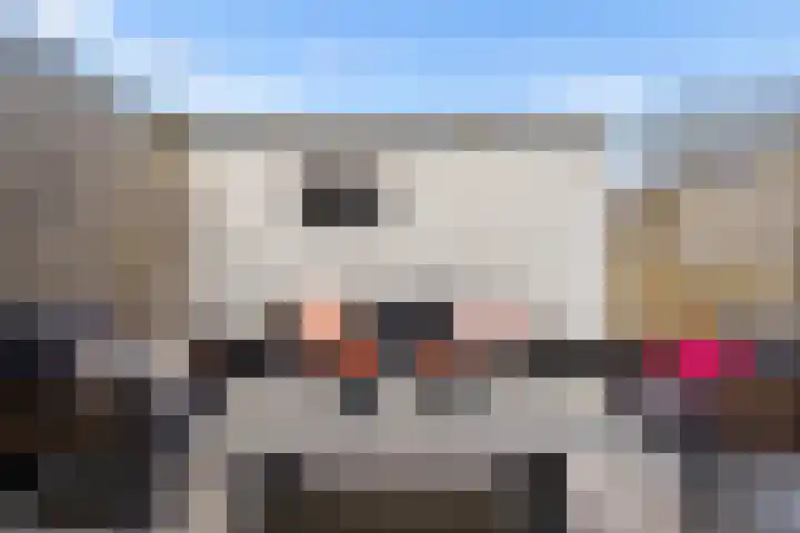 Hofstukken 320 Uden thumbnail 45