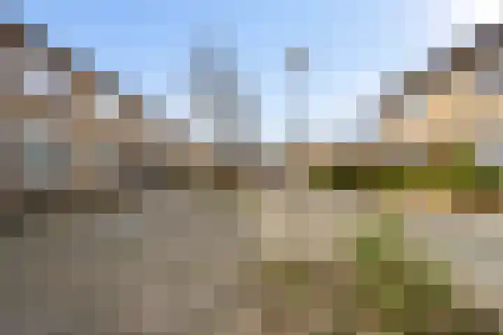 Hofstukken 320 Uden thumbnail 46