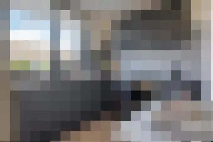 Hofstukken 44 Assen thumbnail 10