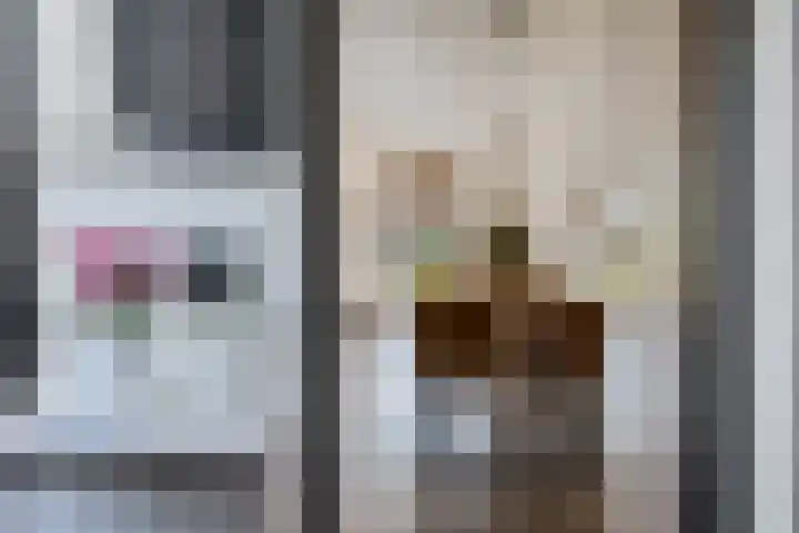 Hofstukken 44 Assen thumbnail 12