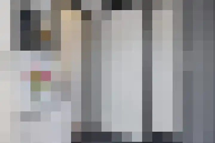 Hofstukken 44 Assen thumbnail 13