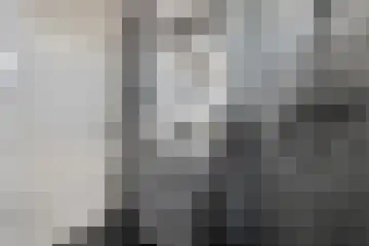 Hofstukken 44 Assen thumbnail 23