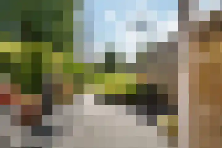Hofstukken 44 Assen thumbnail 30