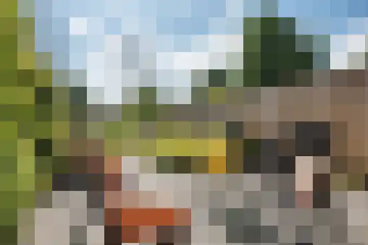 Hofstukken 44 Assen thumbnail 31