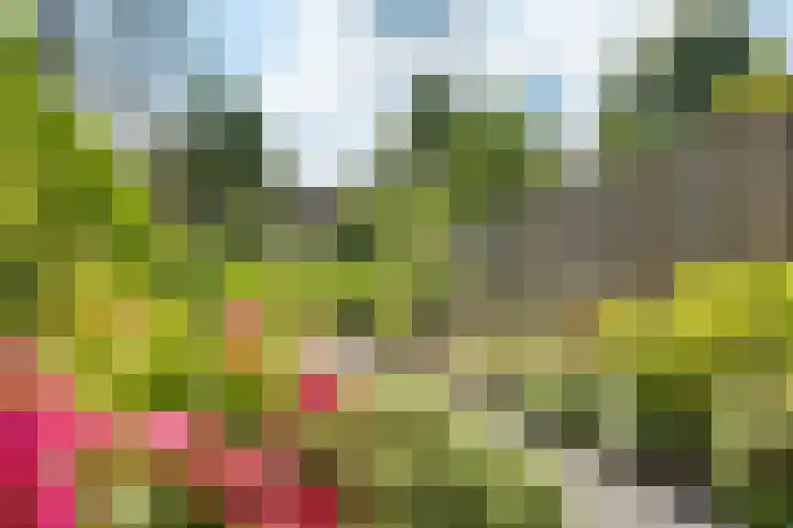 Hofstukken 44 Assen thumbnail 32