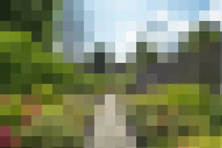 Hofstukken 44 Assen thumbnail 33