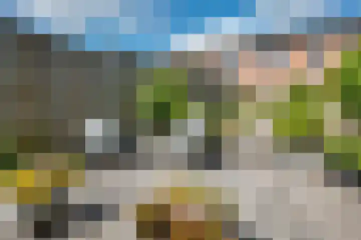 Hofstukken 44 Assen thumbnail 34
