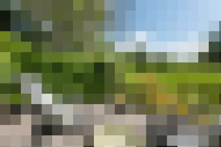 Hofstukken 44 Assen thumbnail 35