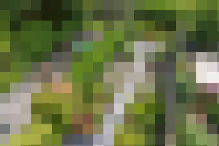 Hofstukken 44 Assen thumbnail 37