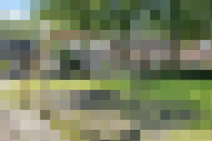 Hofstukken 44 Assen thumbnail 40