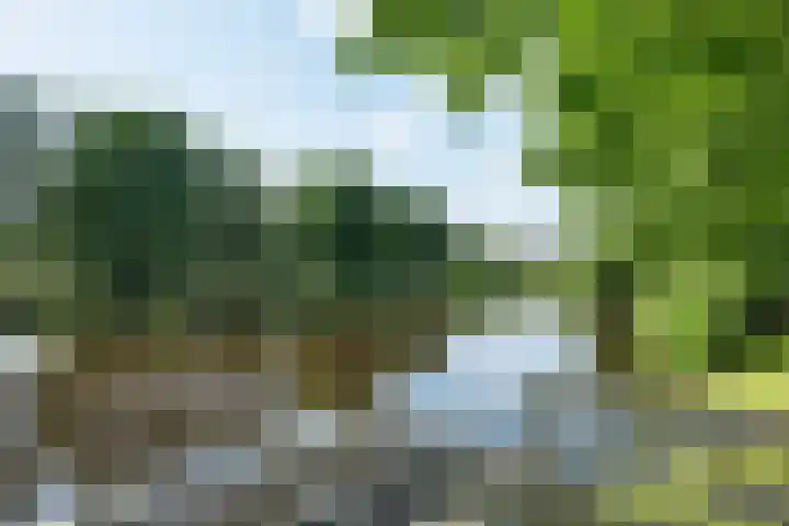 Hofstukken 44 Assen thumbnail 41