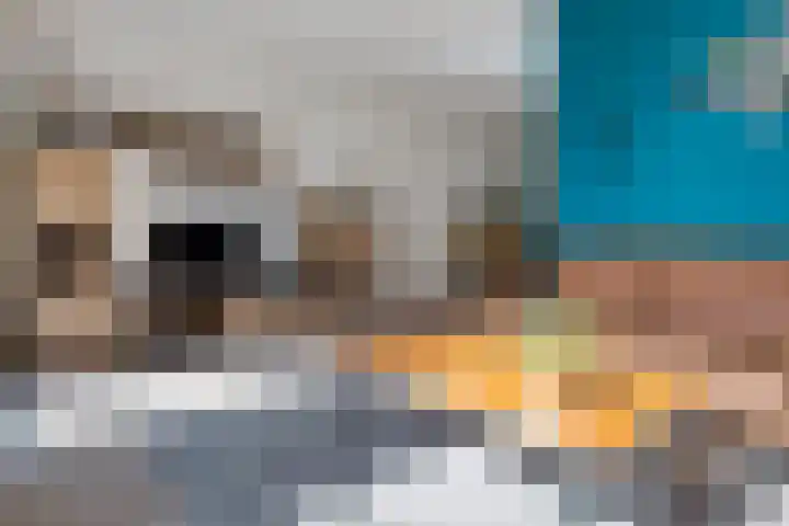 Hofstukken 44 Assen thumbnail 5
