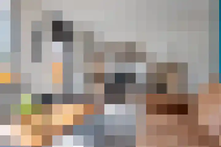 Hofstukken 44 Assen thumbnail 6