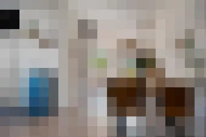 Hofstukken 44 Assen thumbnail 8