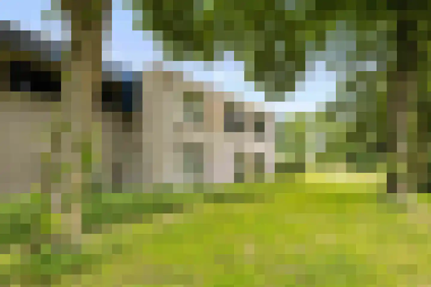 Hofstukken 709 Uden thumbnail 5