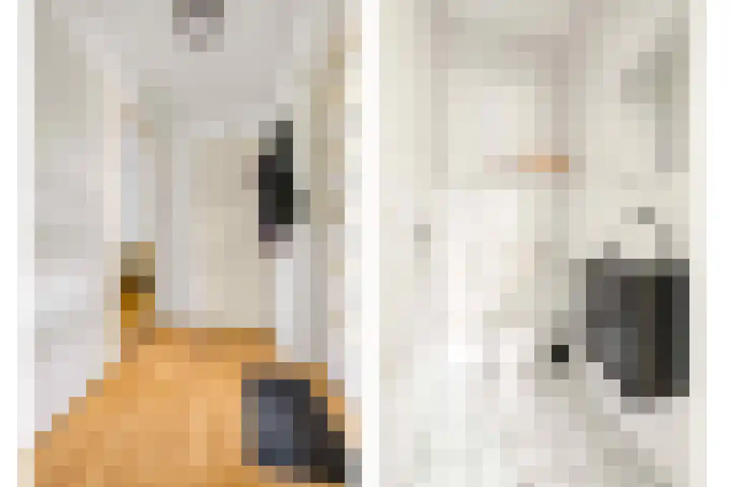 Hofstukken 709 Uden thumbnail 7