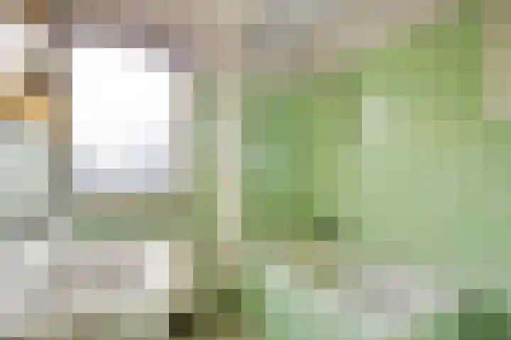 Hofstukken 724 Uden thumbnail 21