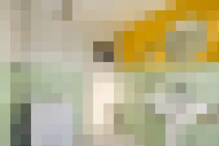 Hofstukken 724 Uden thumbnail 22