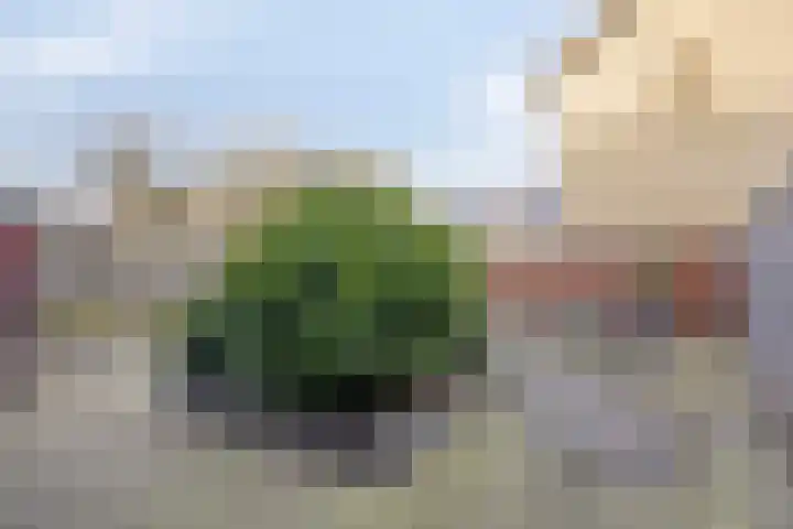 Hofstukken 724 Uden thumbnail 30