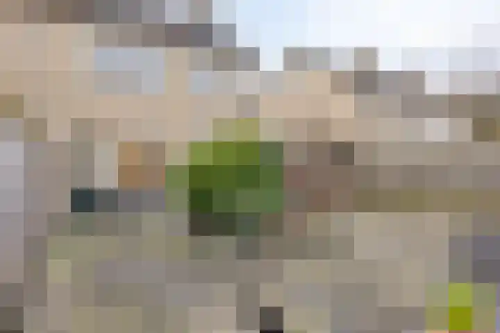Hofstukken 724 Uden thumbnail 31