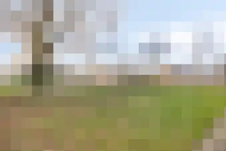 Hofstukken 724 Uden thumbnail 36