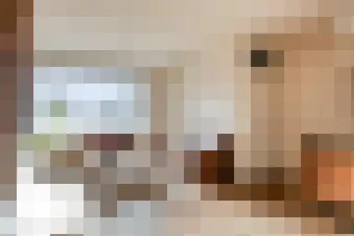 Hofstukken 724 Uden thumbnail 8