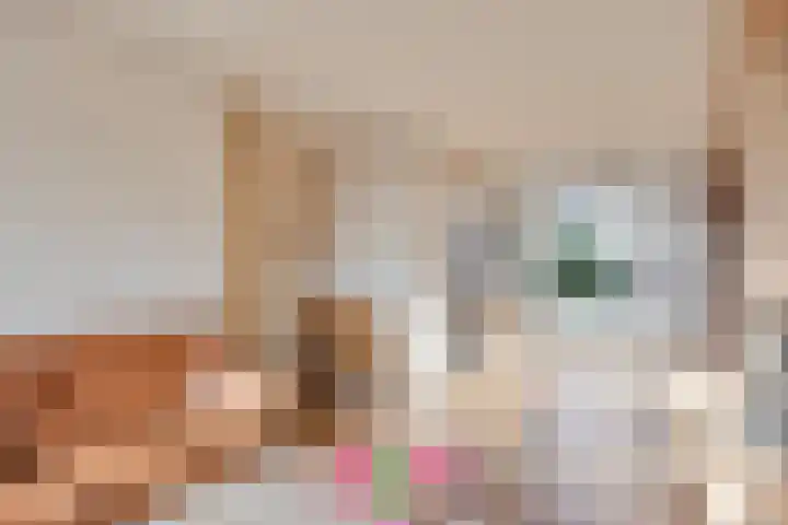 Hofstukken 724 Uden thumbnail 9