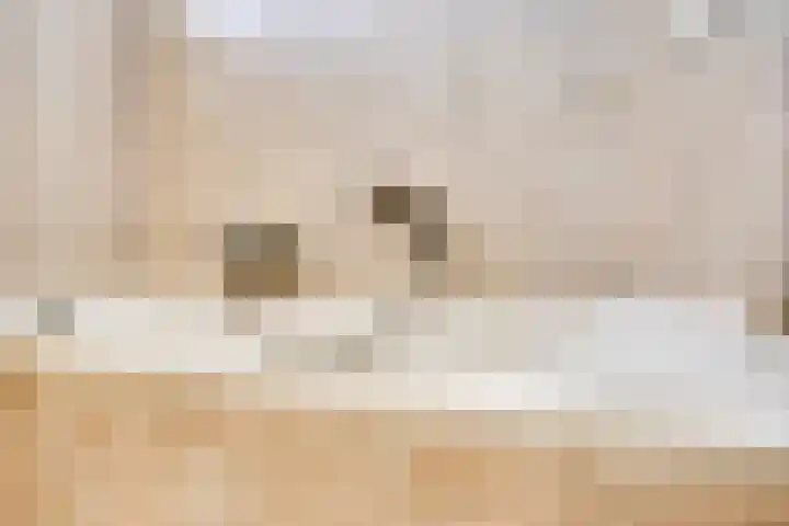 Hofstukken 813 Uden thumbnail 18
