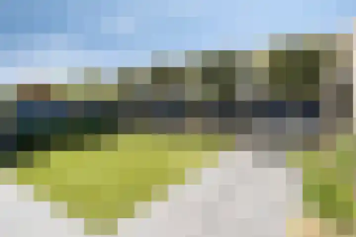 Hofstukken 813 Uden thumbnail 25
