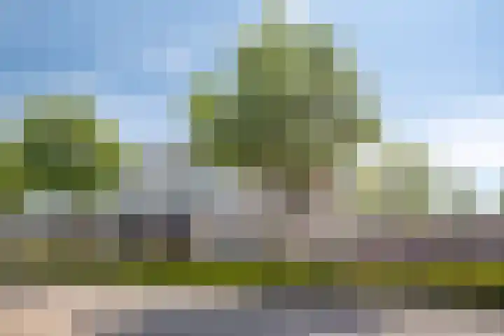 Hofstukken 813 Uden thumbnail 29