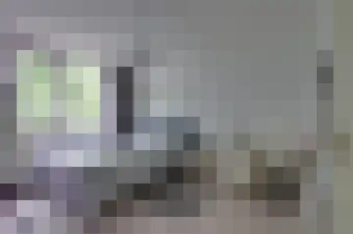 Hofstukken 9 Assen thumbnail 13