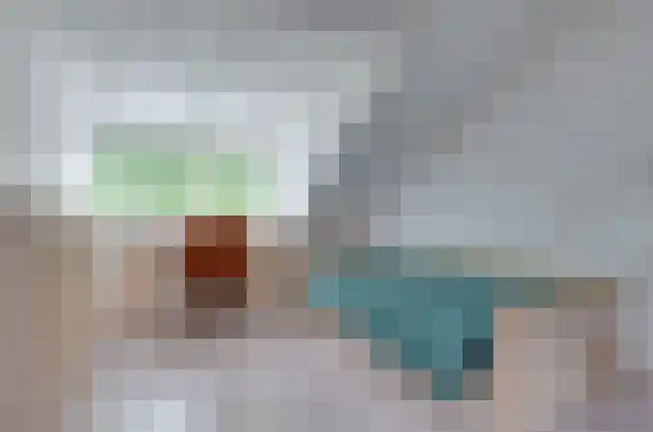 Hofstukken 9 Assen thumbnail 23