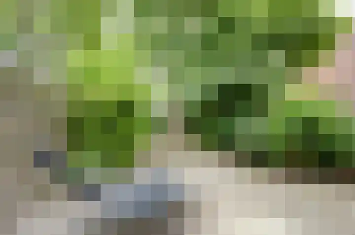 Hofstukken 9 Assen thumbnail 24