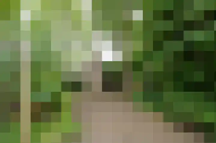 Hofstukken 9 Assen thumbnail 25