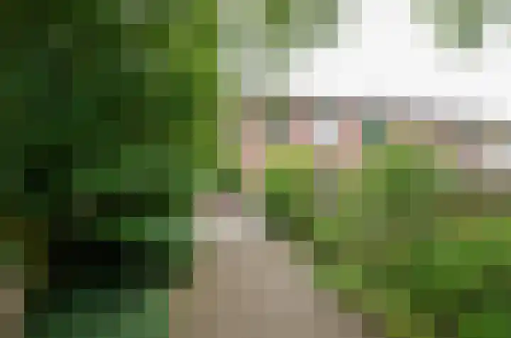 Hofstukken 9 Assen thumbnail 26