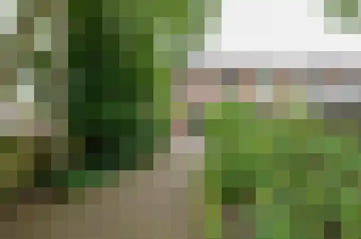Hofstukken 9 Assen thumbnail 27