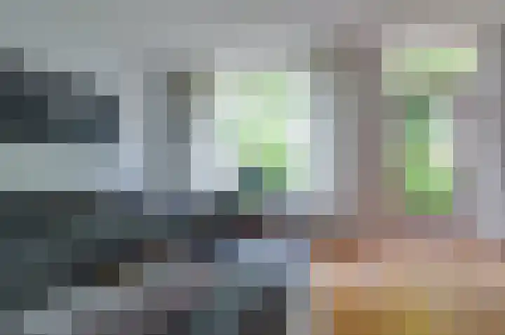 Hofstukken 9 Assen thumbnail 4