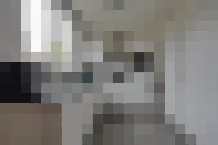 Hofstukken 9 Assen thumbnail 7