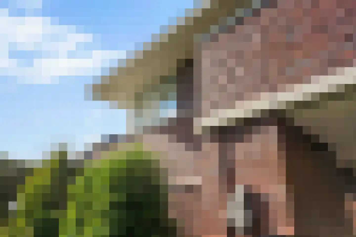 Hoften 4 Haren Gn thumbnail 17