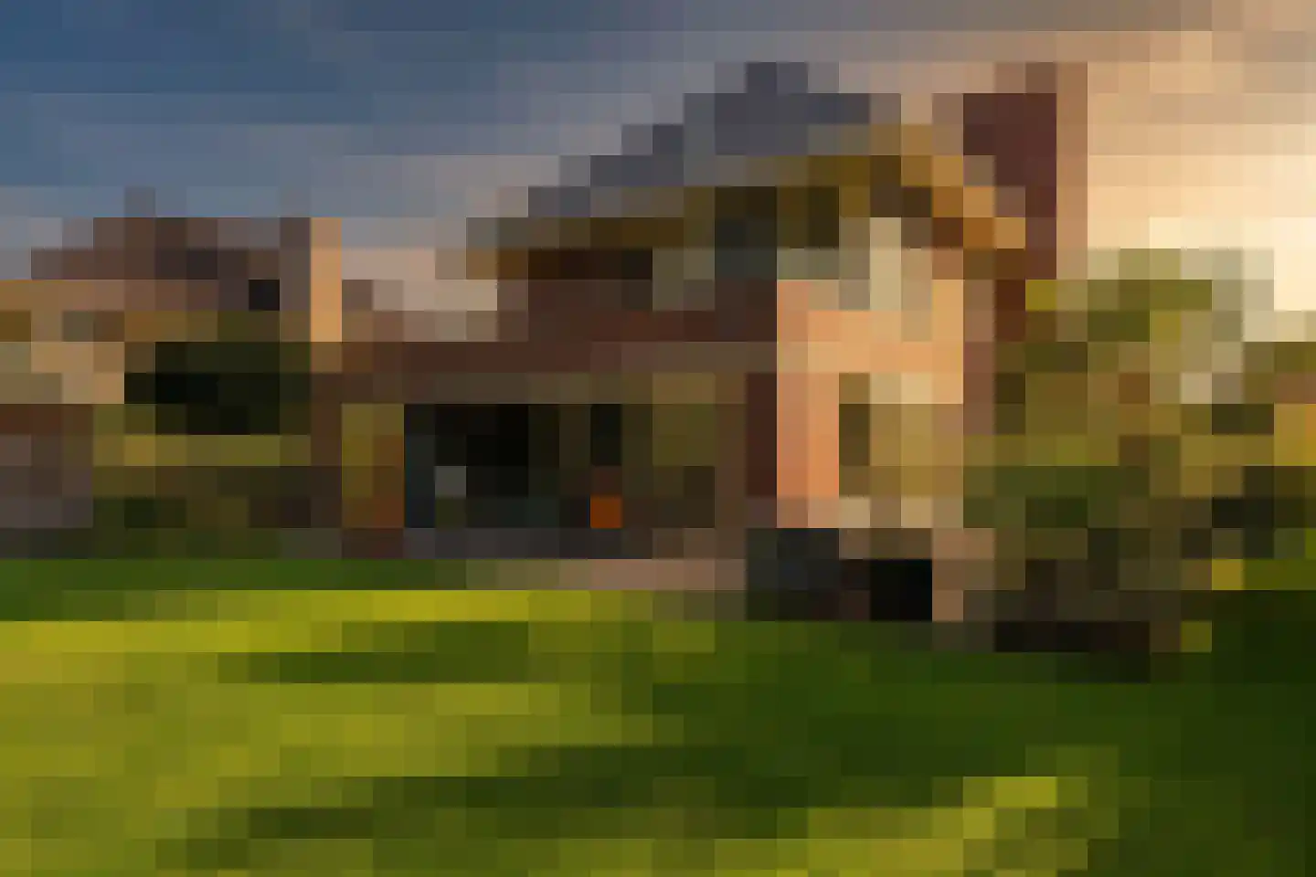 Hoften 4 Haren Gn foto 3