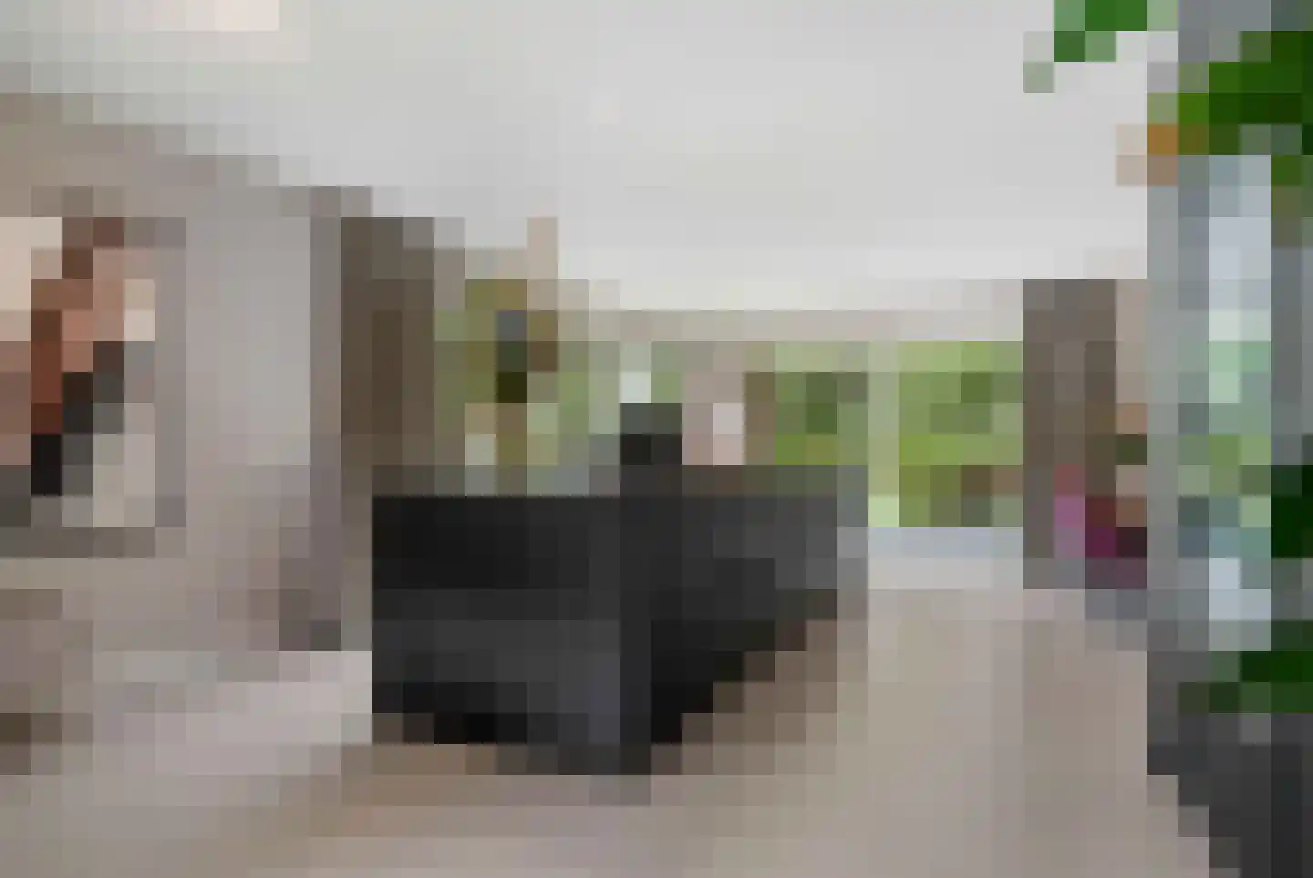 Hoften 4 Haren Gn thumbnail 30