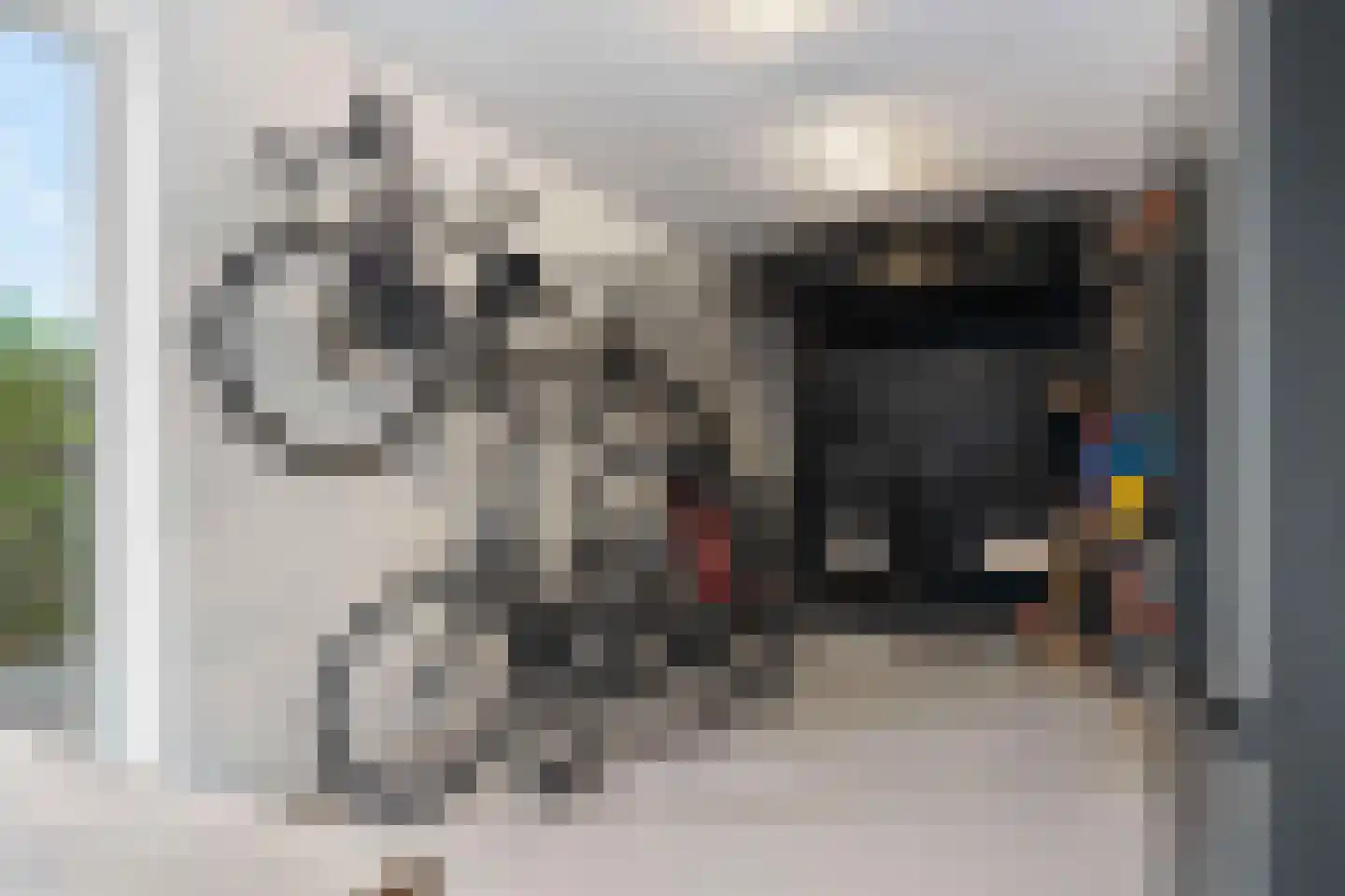 Hoften 4 Haren Gn thumbnail 40