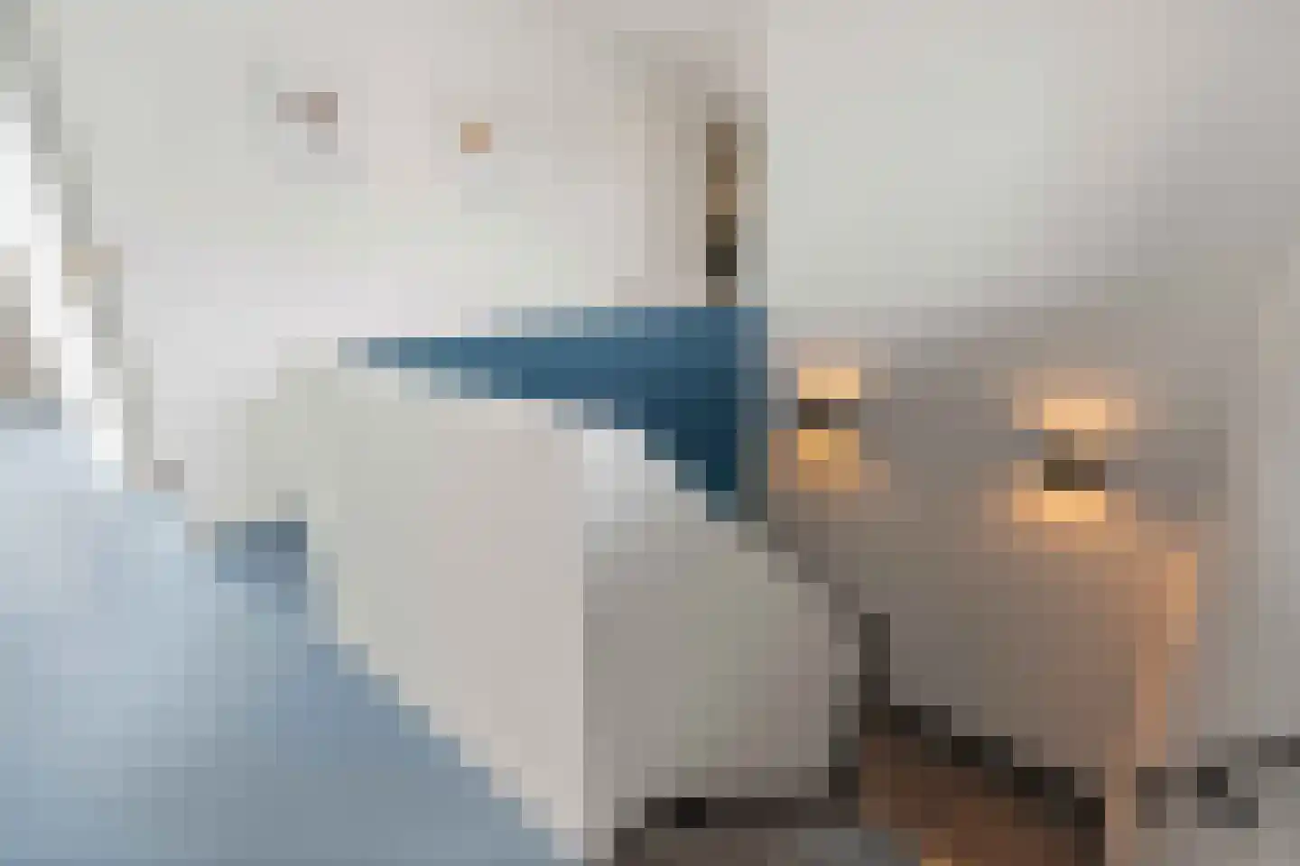 Hoften 4 Haren Gn thumbnail 43