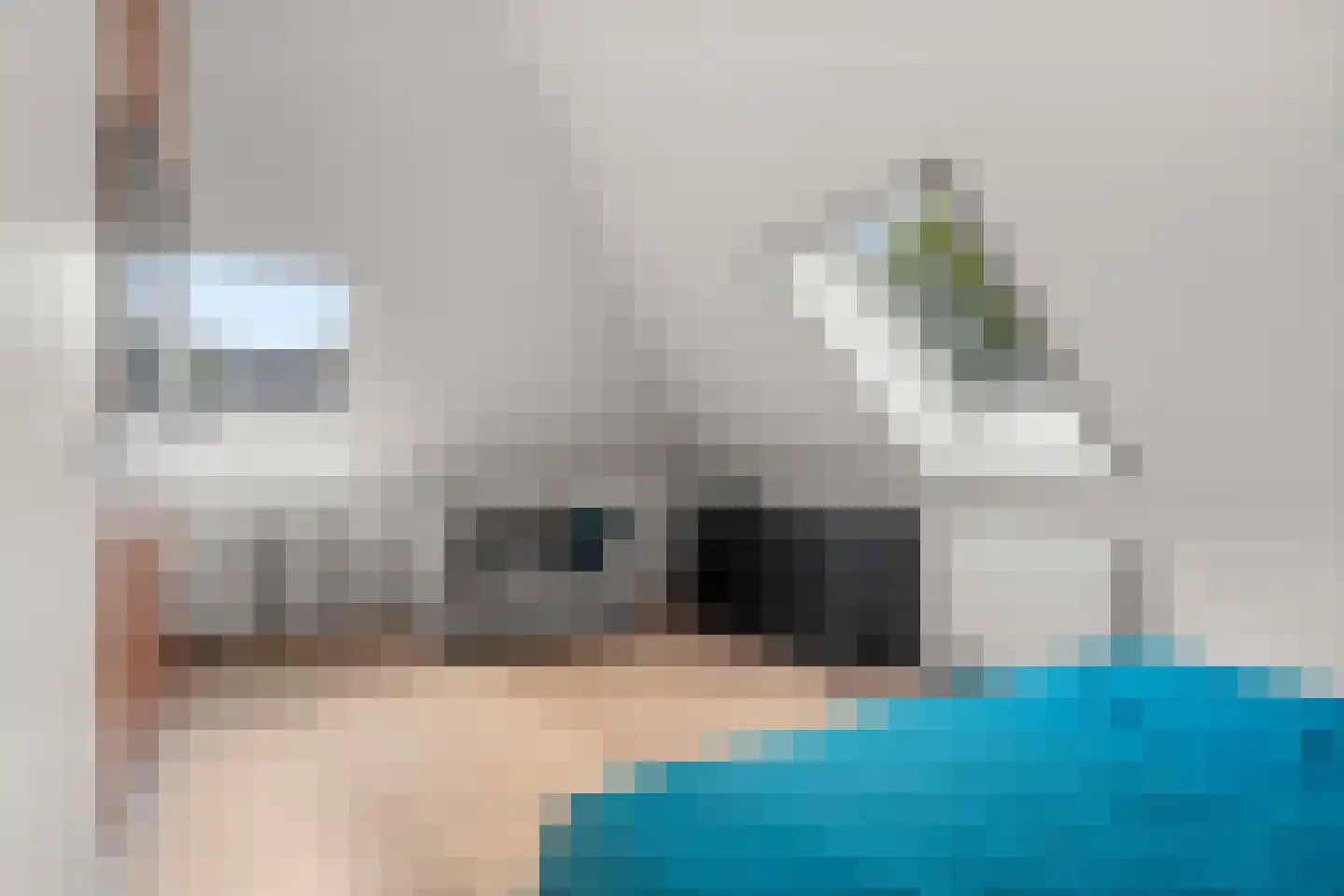 Hoften 4 Haren Gn thumbnail 63