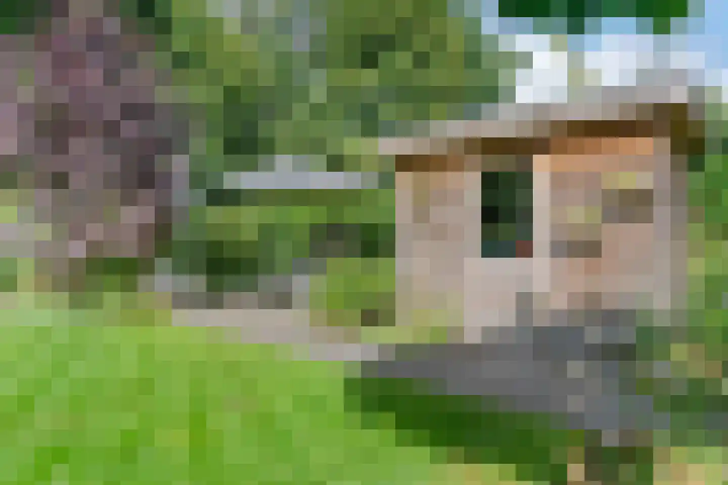 Hoften 4 Haren Gn thumbnail 74